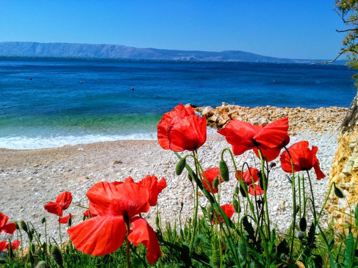 Loft-beach-apartments Ratko *